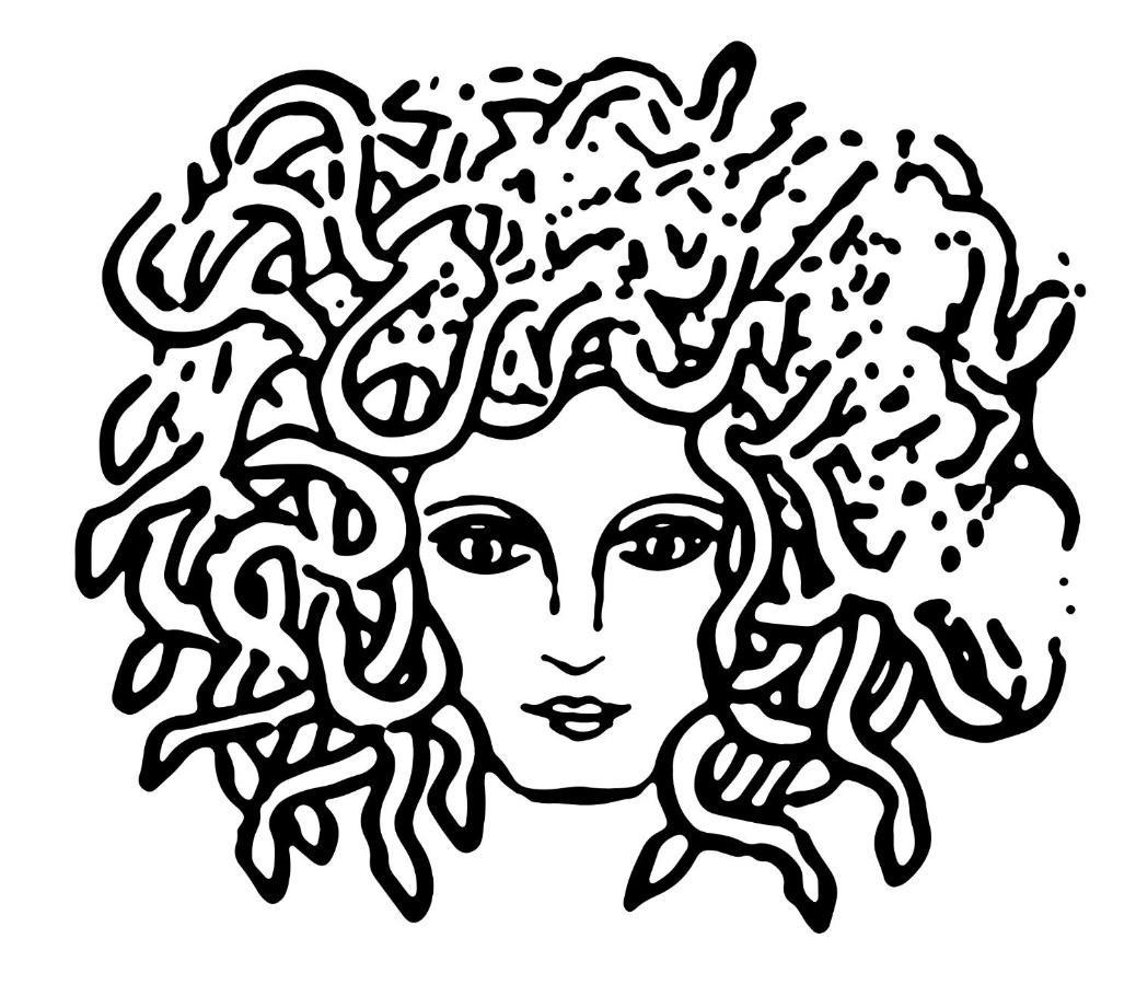 Medusa Duomo Guest House Neapel Exterior foto